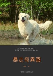 属猴女开车车技好不