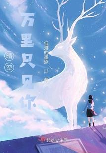 风水大师创