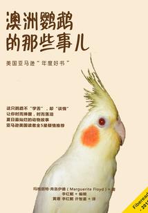 属猴的人一般是火还是水