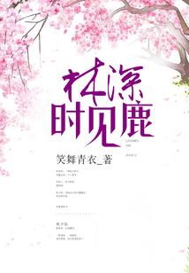 狗年进入2019运气
