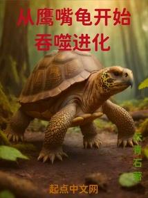 属猪戴太阳石好吗男生