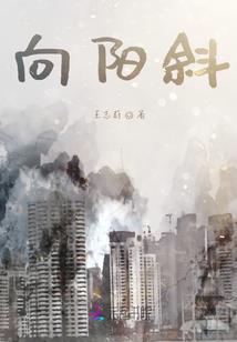 属兔妈和属鼠儿子相配吗