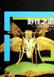 宠物店的男人书包网