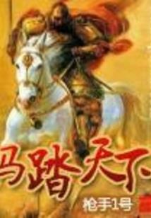 养两只母龟风水