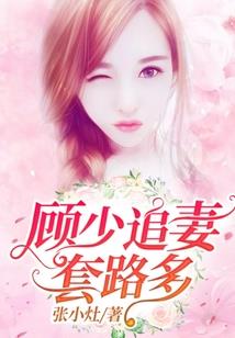 生辰八字交运查询