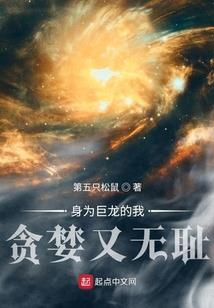 19811117阳历