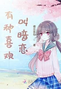 帕萨特的含义