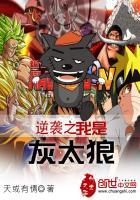 2011年属属兔取名