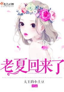 属兔女年底运势
