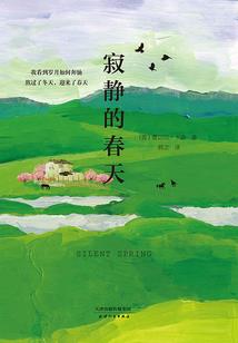 紫微圣人出山火灵运程