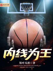 车臣是代表什么生肖