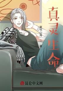 属猴属兔到底合不合