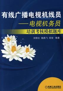 男人JJ小说