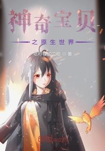 阳历是是什么意思