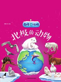菱形春联的寓意和象征