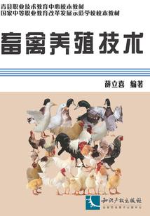 属猪的大企业家