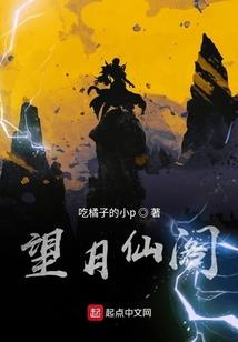 间谍同盟标题的含义