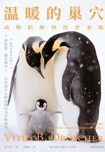 孕妇梦见金库被盗