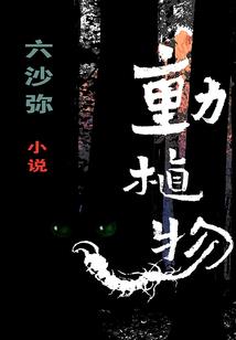 2017属蛇犯太岁