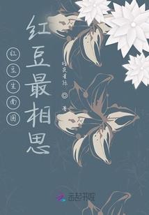 语言领域年与属相