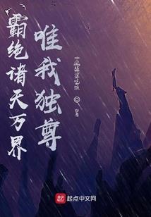12生肖包装应用