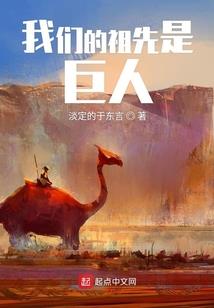 关于数字运势