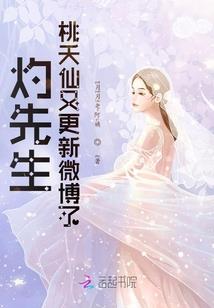 南非鲣鸟寓意