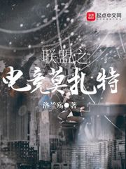 属猪的生肖守护