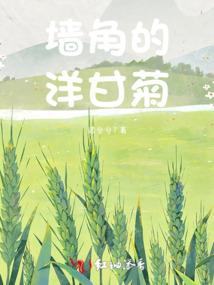 韶聪名字含义