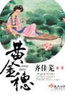 属狗啥色窗帘招财