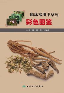 今天几号了阳历算