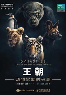 运气文免费阅读