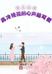 什么是宫中生肖