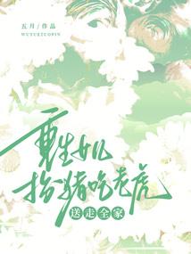 属相手工灯笼