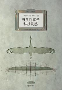 属羊和属蛇合不合适