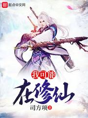 财运小土豆