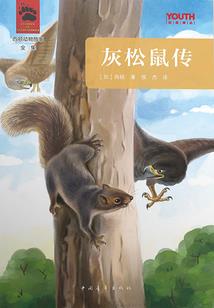 属猪22岁哪年出生的