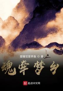 属兔的人适合从事什么