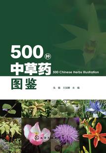 丑时出生的男孩属鼠