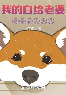 阳宅厨房风水类书柜