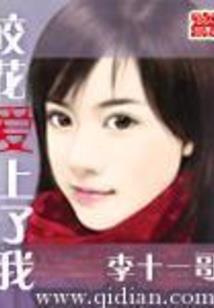 深宫锁码什么生肖