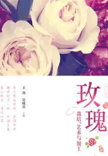 小飞龙什么属相
