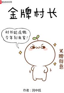 十二生肖猪的折法