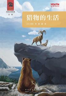 双鱼星座图片星空图